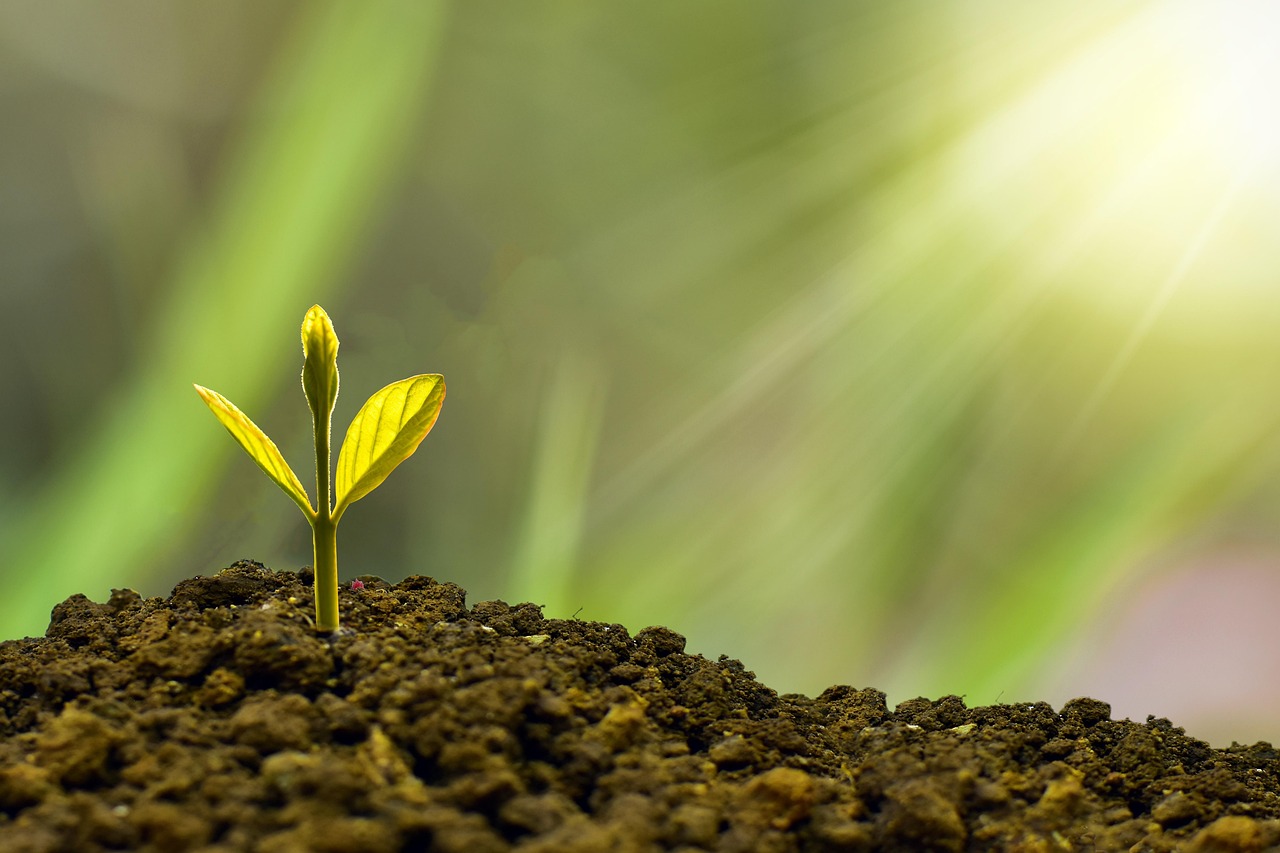 découvrez les meilleures stratégies pour assurer la pérennité financière de votre entreprise, optimiser la gestion des ressources et garantir un développement durable sur le long terme.