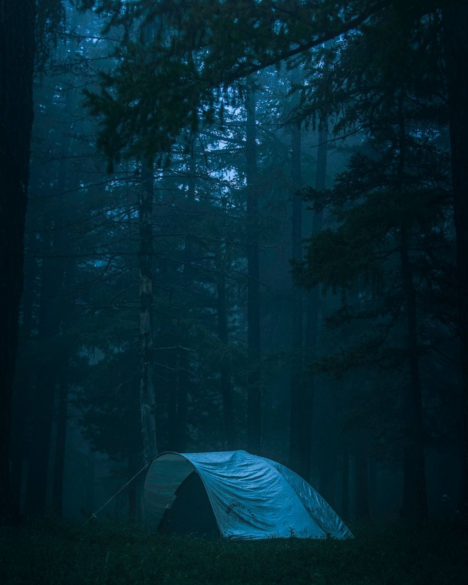 Découvrez le Camping Les Truffières : Une Oasis de Détente au Cœur de la Drôme Provençale