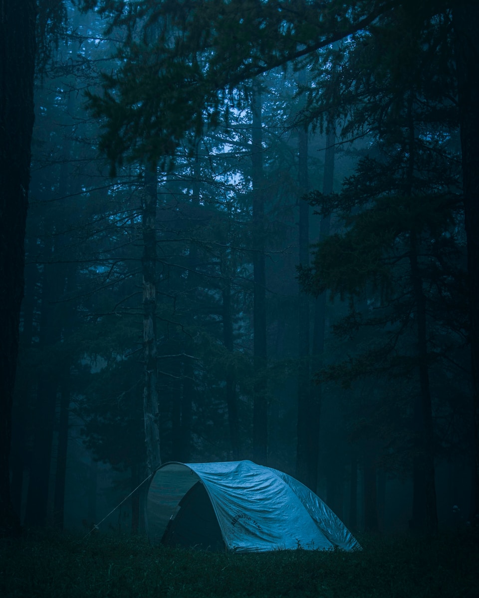 Découvrez le Camping Les Truffières : Une Oasis de Détente au Cœur de la Drôme Provençale