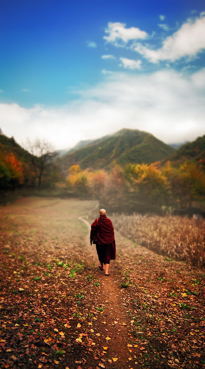 d&eacute;couvrez des id&eacute;es de sorties culturelles incontournables : mus&eacute;es, expositions, spectacles et &eacute;v&eacute;nements pour enrichir votre exp&eacute;rience et satisfaire votre curiosit&eacute;.
