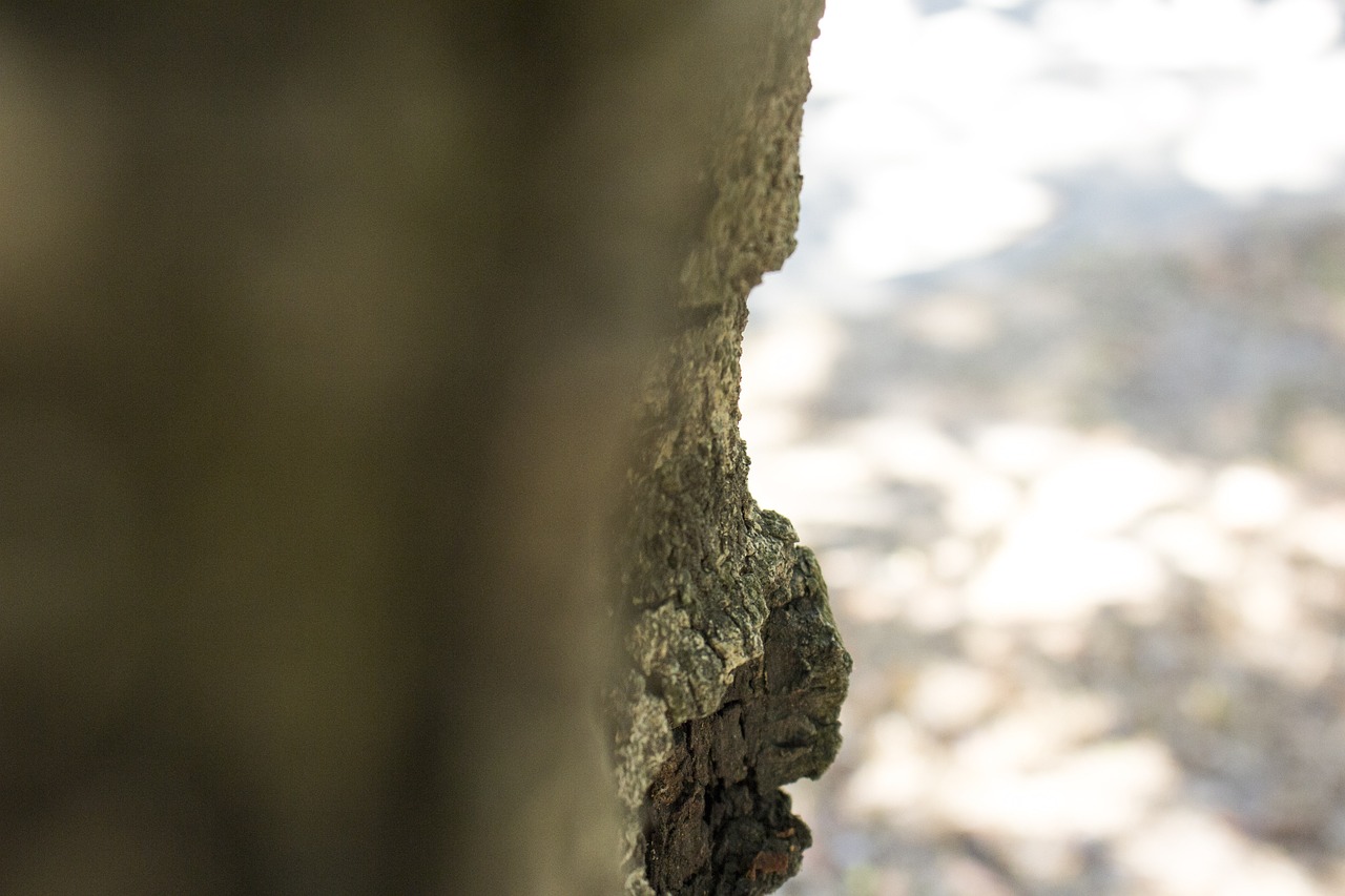 inscrivez-vous facilement et rapidement pour acc&eacute;der &agrave; tous nos services. cr&eacute;ez votre compte d&egrave;s maintenant pour profiter de nos offres exclusives et simplifier vos d&eacute;marches en ligne.